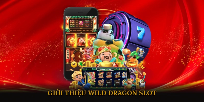 Wild Dragon Slot