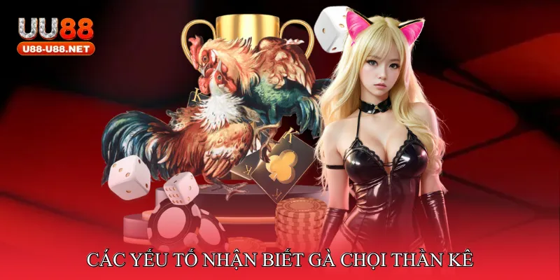 Đá gà thần kê xuất trận