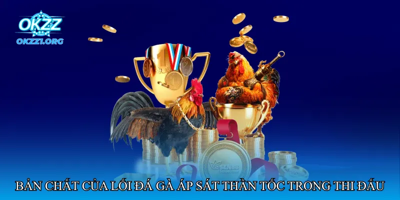 Đá gà áp sát thần tốc