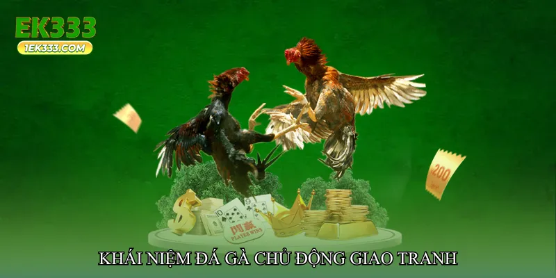 Đá gà chủ động giao tranh
