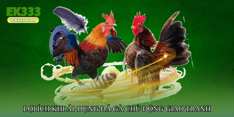 Đá gà chủ động giao tranh