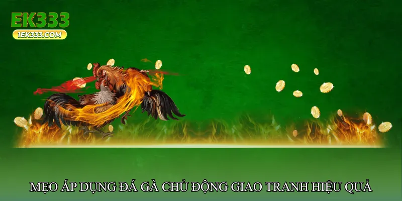 Đá gà chủ động giao tranh